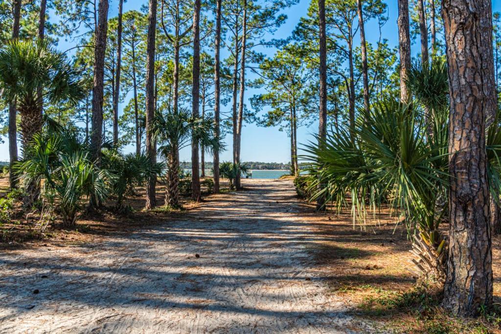 1686 Bluff Villas Renovated Sleeps 8 Walk To Salty Dog Sea Pines ฮิลตันเฮดไอส์แลนด์ ภายนอก รูปภาพ
